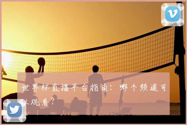 世界杯直播平台指南：哪个频道可以观看？