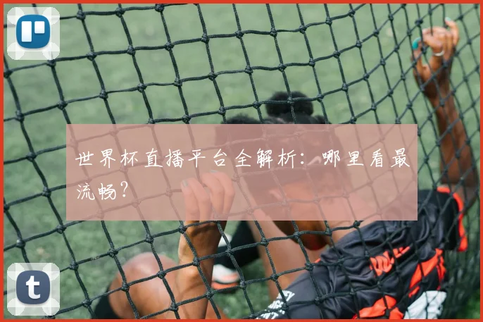 世界杯直播平台全解析：哪里看最流畅？