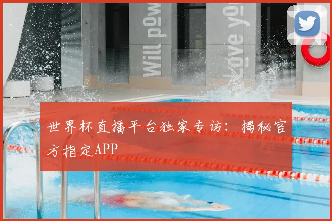 世界杯直播平台独家专访：揭秘官方指定APP